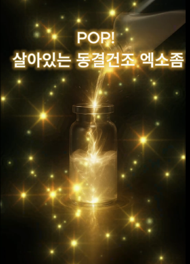 Korean Teaser